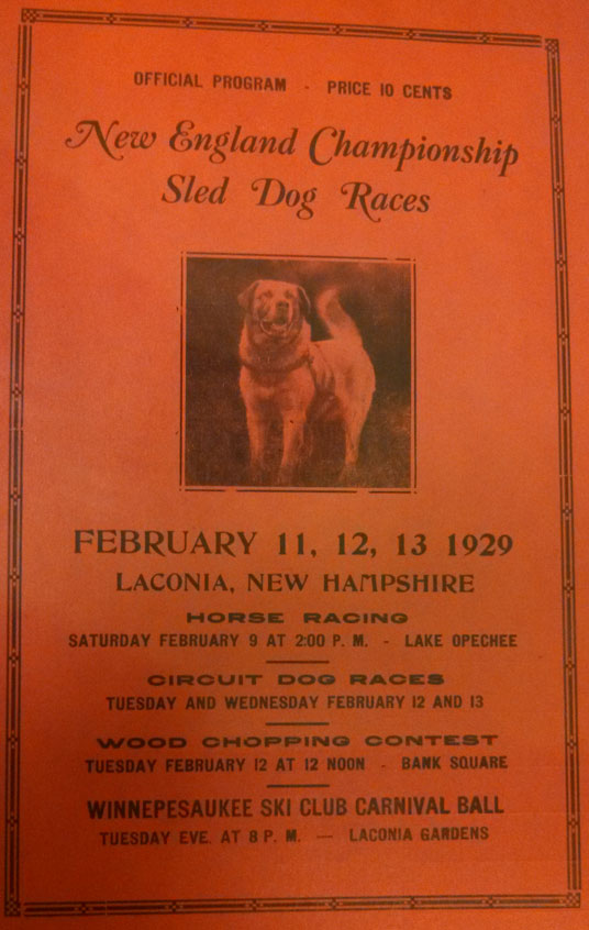 1929 Sled Dog Poster