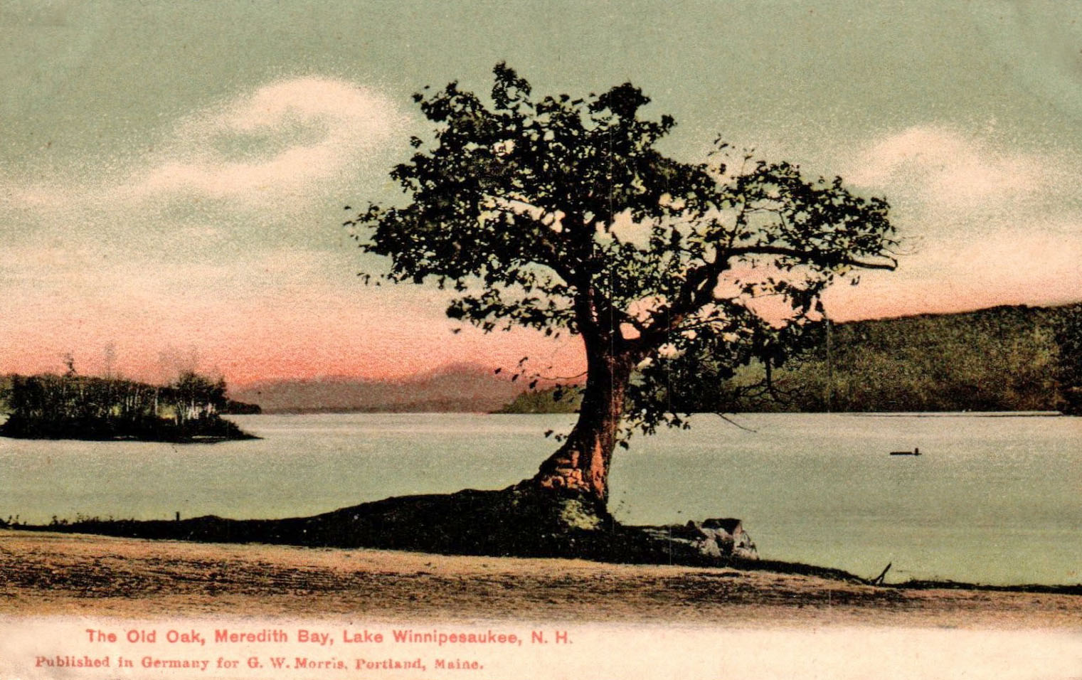 the-old-oak-not-ladies-edit