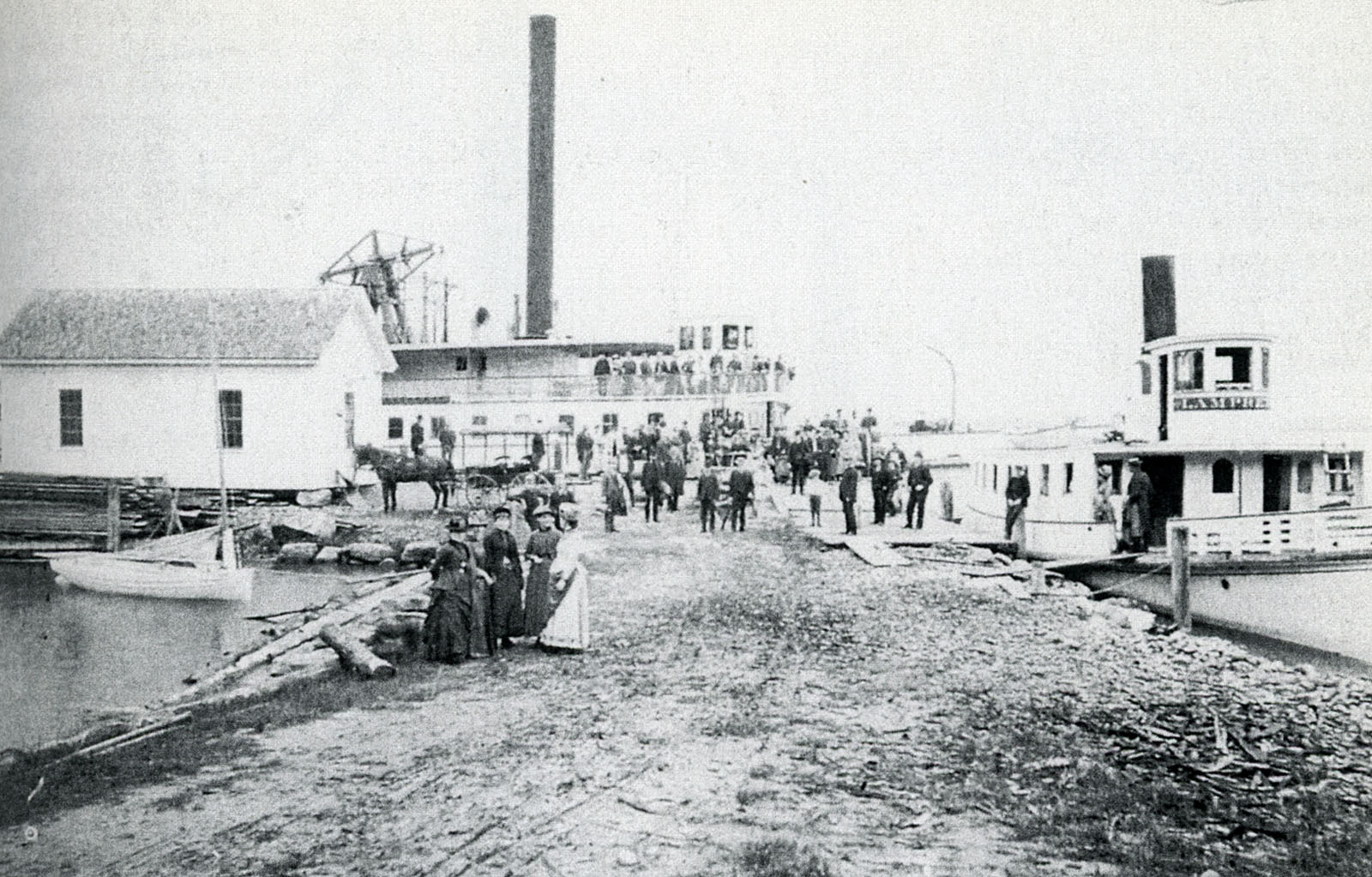 lamprey-and-mount-edit