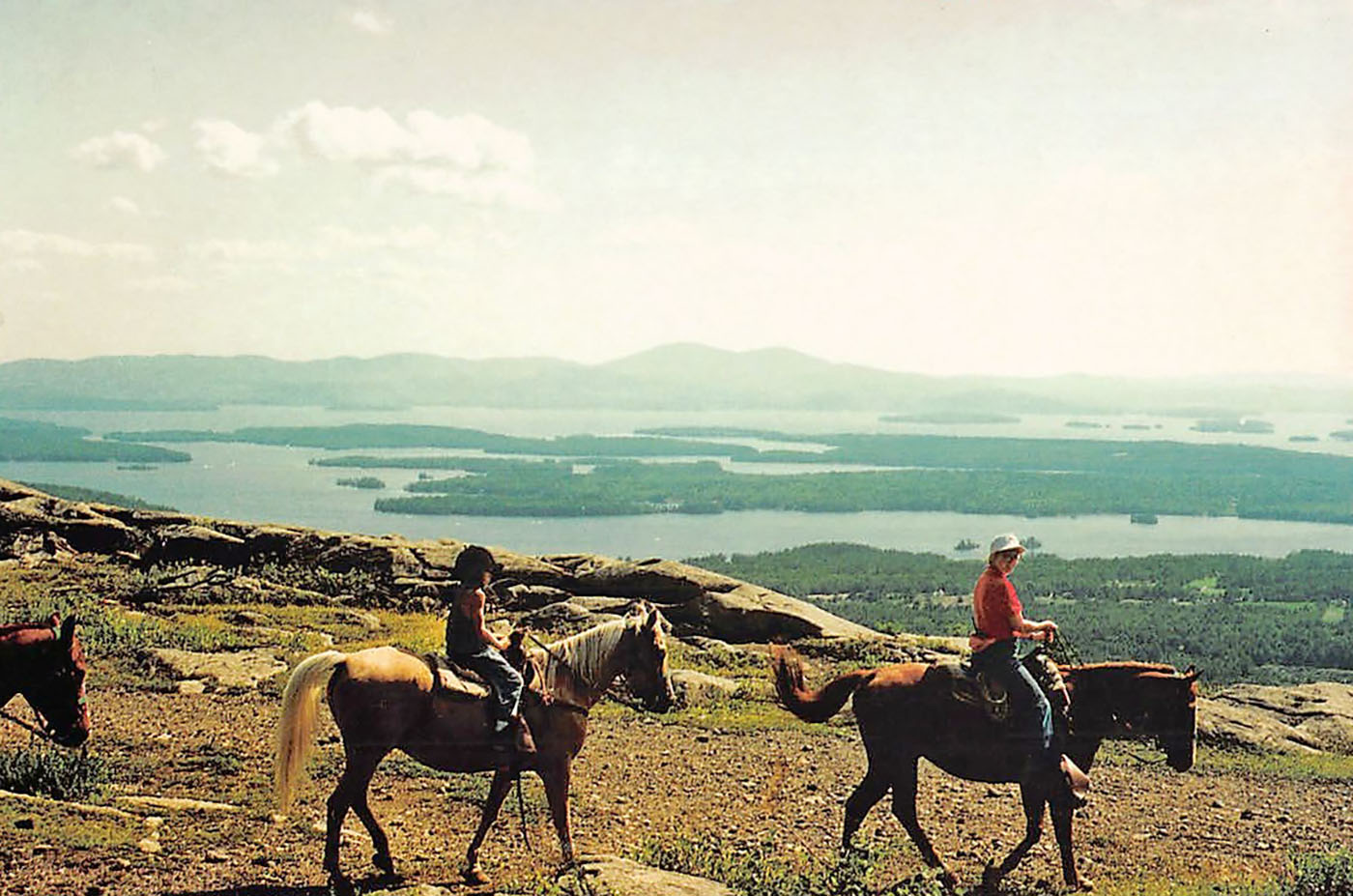 horses-at-bald-knob-edit