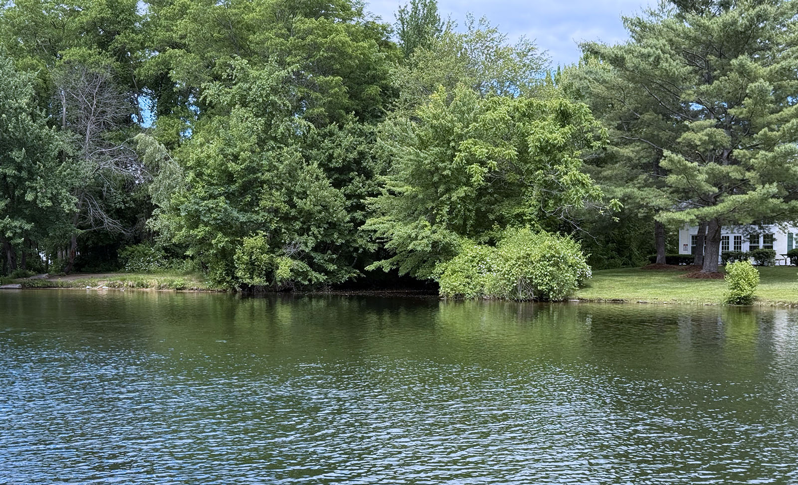 outlet-of-jewett-brook