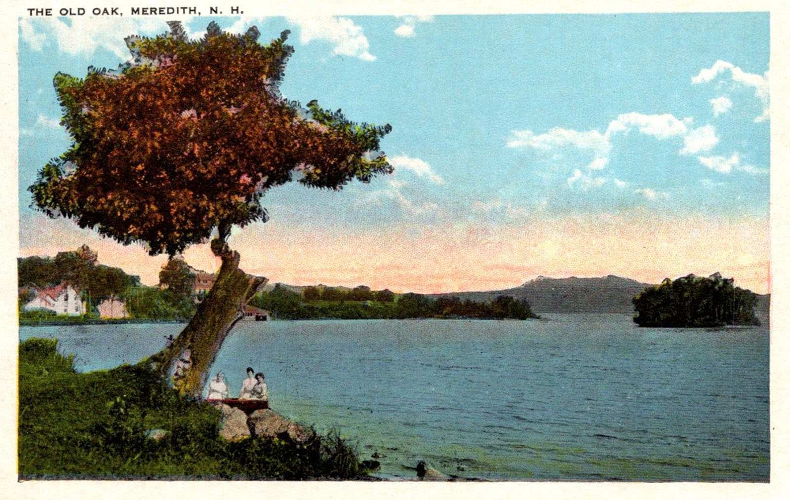 old-oak-1924pm-edit