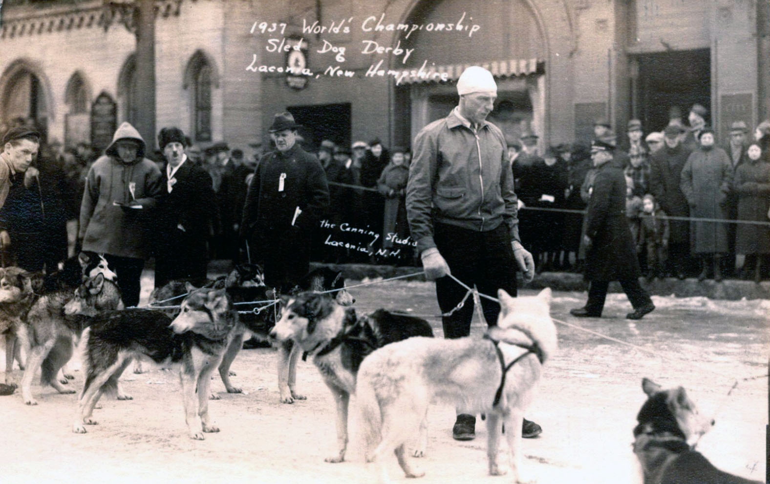 1937-sled-dog-edit