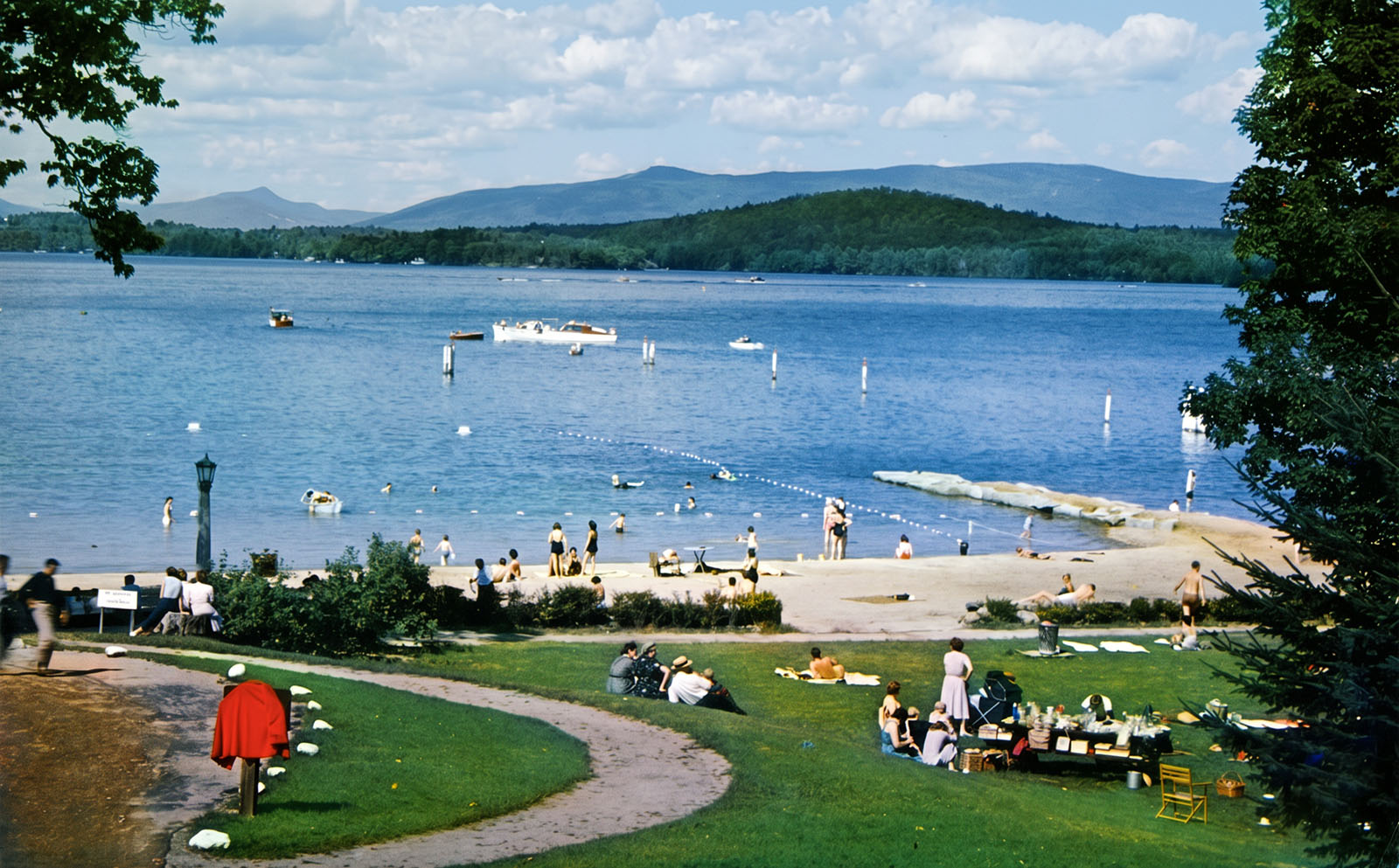 largepicnicpark-AI