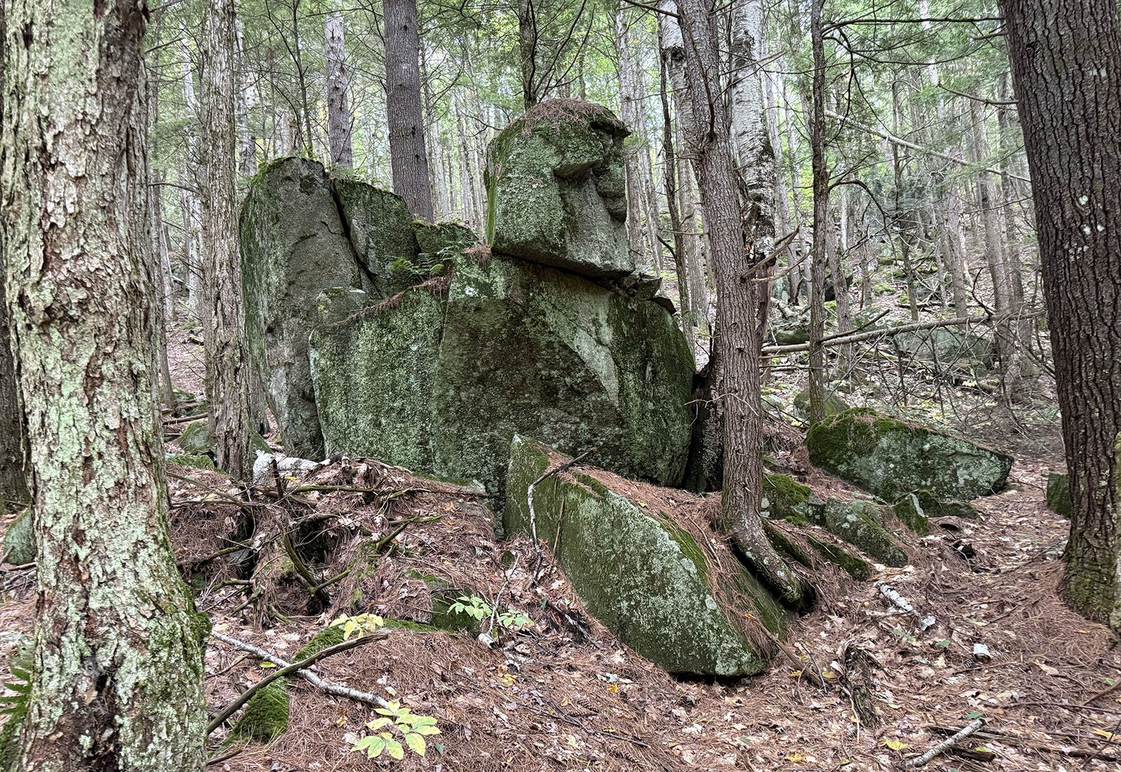 red-hill-river-sphinx